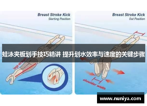 蛙泳夹板划手技巧精讲 提升划水效率与速度的关键步骤